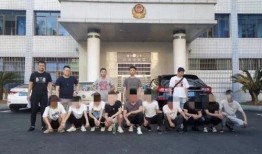 益阳医专爆料案件最新,揭开校园安全与管理的神秘面纱